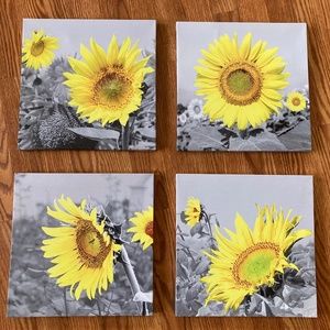 Sunflower Canvases